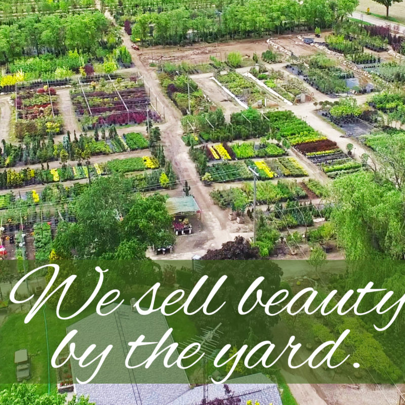 Gee Farms arial photo of gee farms property and shrubs, trees, bushes, perennials and annuals products for sale
