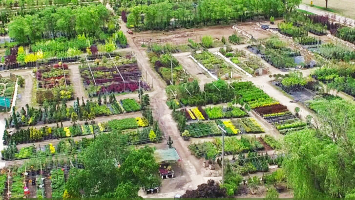 Gee Farms arial photo of gee farms property and shrubs, trees, bushes, perennials and annuals products for sale