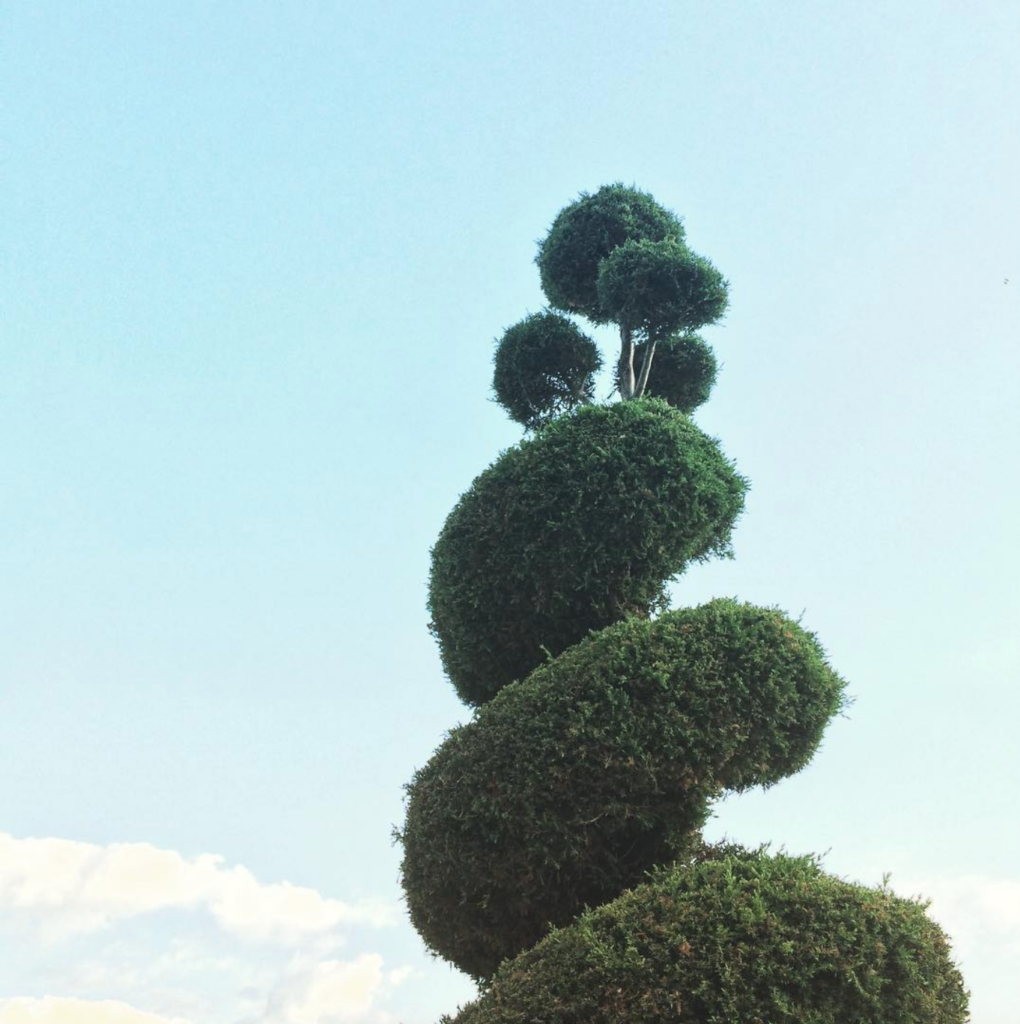 Visit Gee Farms Gee Farms